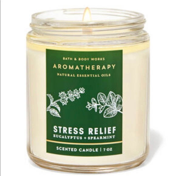 BBW EUCALYPTUS SPEARMINT Hand Soap And Candle - Picture 2 of 4